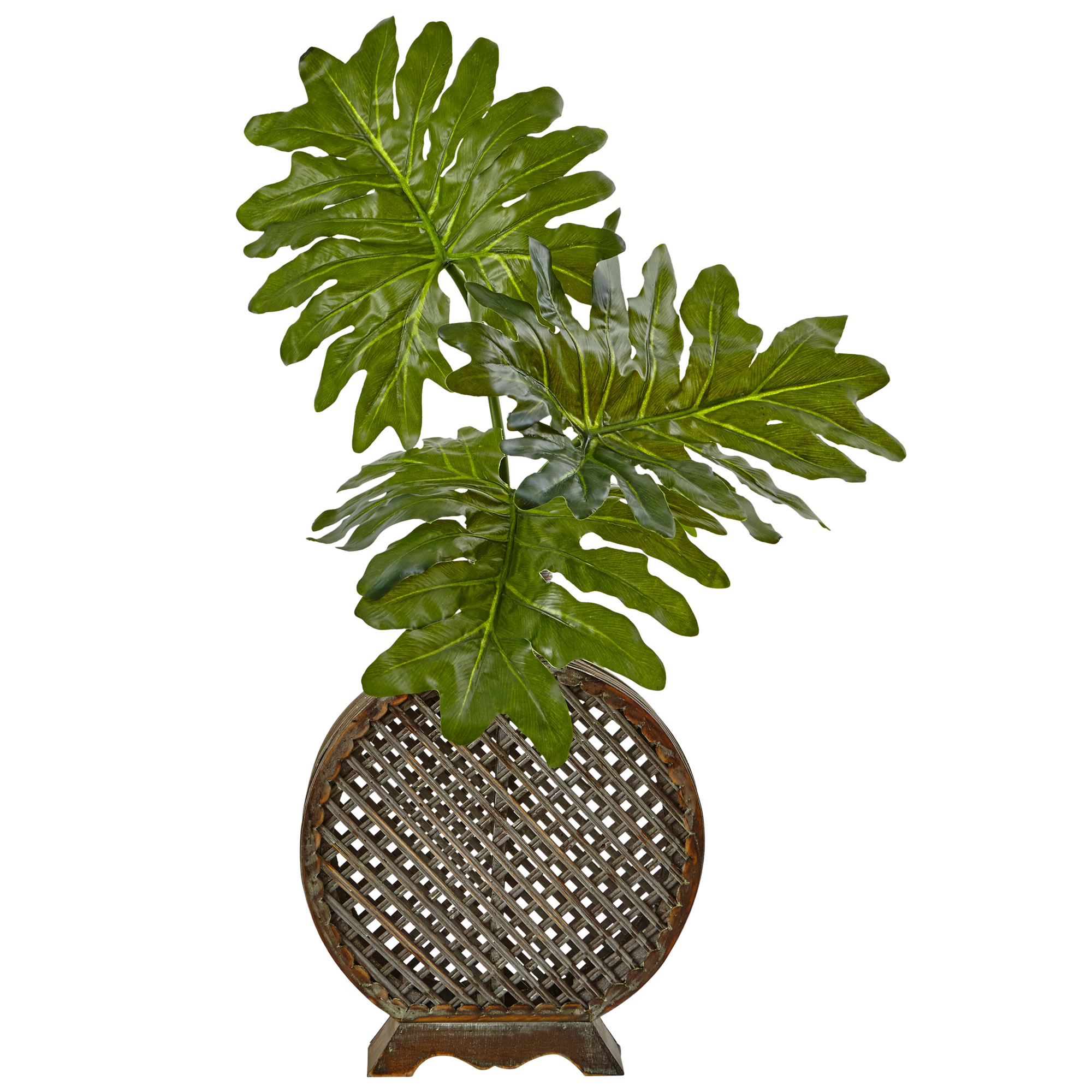 Nearly Natural Selloum Artificial Plant in Open Weave Vase