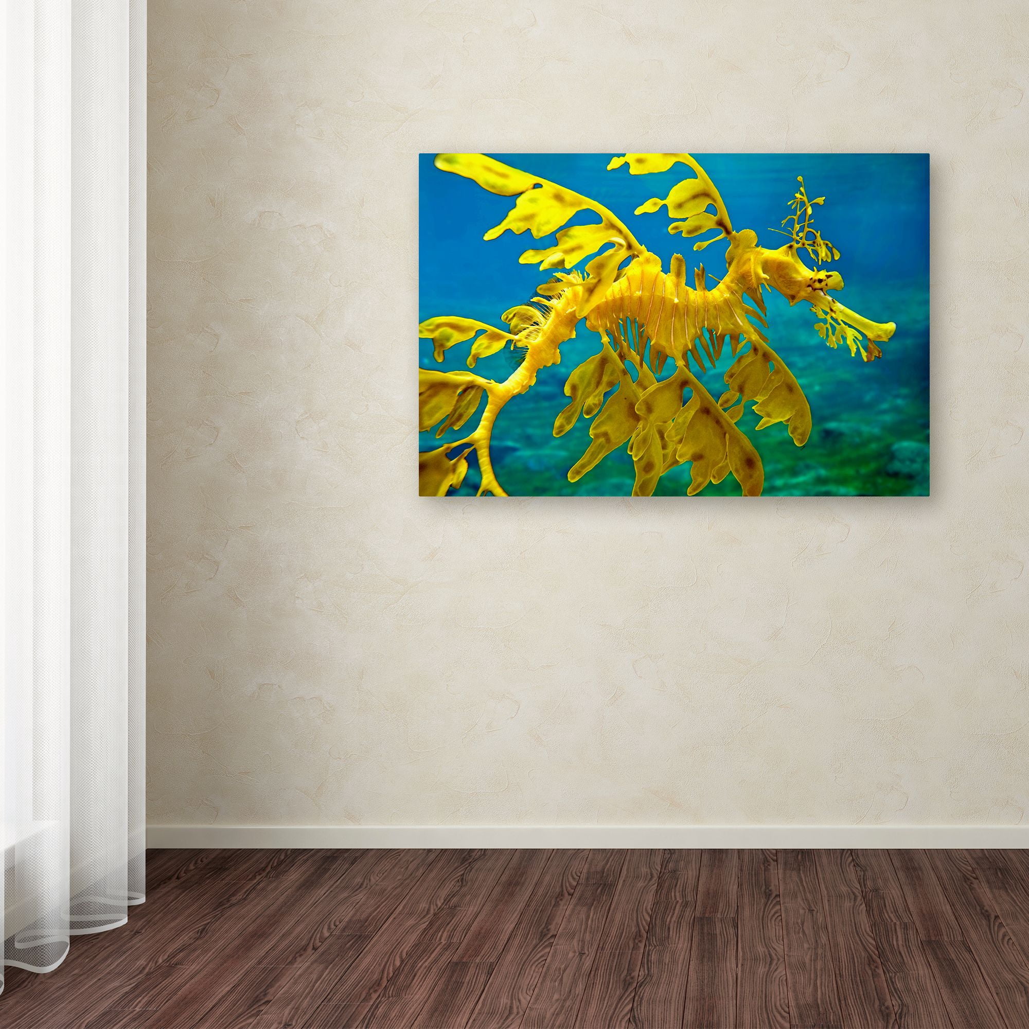 Sea Dragon' Canvas Art by Mike Jones Photo