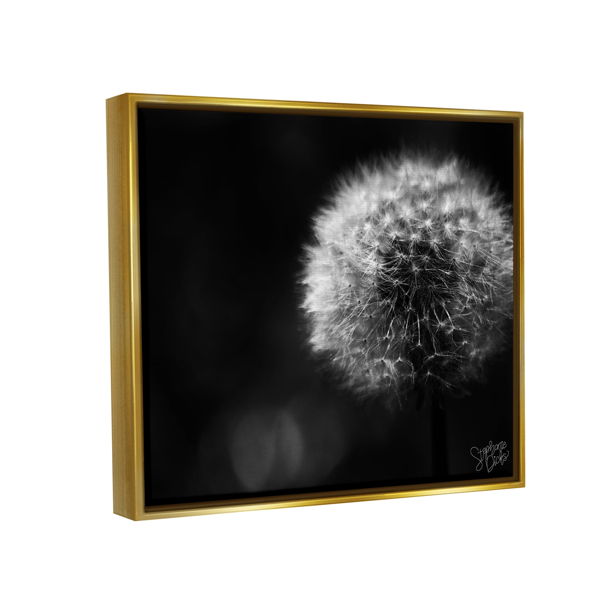 Stupell Modern Black Dandelion Photography Botanical & Floral Photography Gold Floater Framed Art Print Wall Art