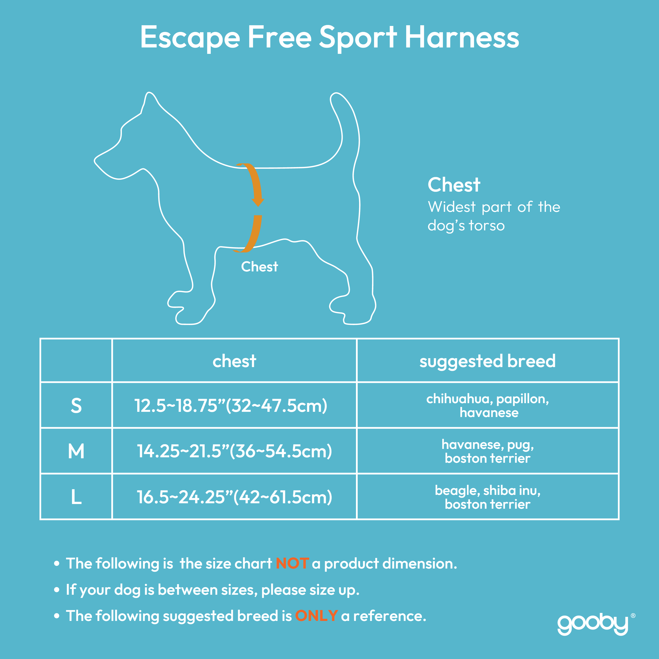 Gooby Escape Free Sport Harness - Turquoise, Small - Escape Free Step-in Harness with Neoprene Body for Small Dogs and Medium Dogs for Indoor and Outdoor use