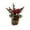 B, variant on Artificial Mini Potted Poinsettia Arrangement Christmas Tabletop Plant Decor Holiday Home Accent Design D