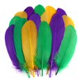 thumbnail image 2 of MODANU 200 Pcs Mardi Gras Craft Feathers Bulk 5-6inch Big Goose Feathers for Mardi Gras Decoration Carnival Masquerade Party Costume Decoration, Multicolor A, 2 of 6