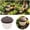 A, variant on Clearance! Soovim Reusable Garden Snail Trap, Catcher for Slugs Pest Control Outdoor Protection