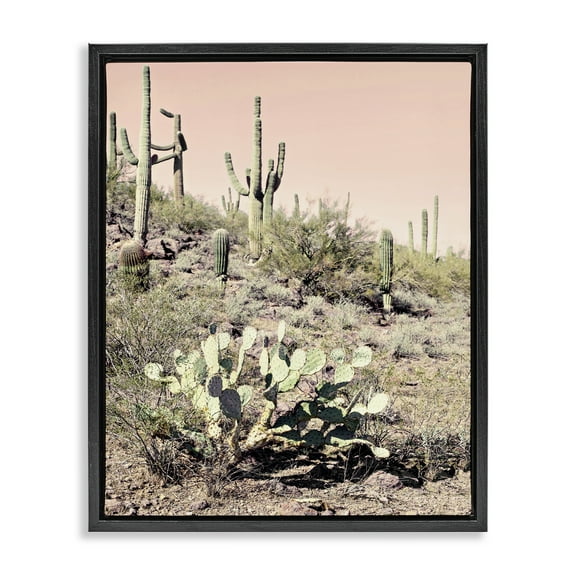 Stupell Industries Rustic Desert Scene Landscape & Nature Photography Black Floater Framed Canvas Art Print Wall Art, 17 x 21
