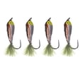 thumbnail image 2 of Ice s Multiple Colors Saltwater Bass Trout Perch Chub 4pcs C, 2 of 9