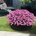 thumbnail image 2 of Grow Your Own Veggies with This Durable, Breathable Plant Grow Bag!, 2 of 4