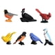 thumbnail image 2 of de Juguetes de Modelos de Pájaros Simulados 7x, Juguetes de de Acción de de Realistas, Juguete Educativo Y Juguete de Hugo Mini pájaro de simulación, 2 of 7