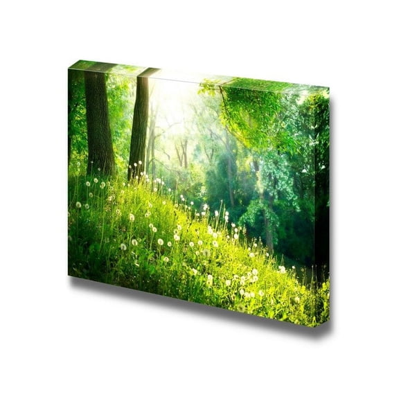 Canvas Prints Wall Art - Spring Nature Beautiful Landscape with Green Grass and Trees | Modern Wall Decor/Home Decoration Stretched Gallery Canvas Wrap Giclee Print & Ready to Hang - 16" x 2