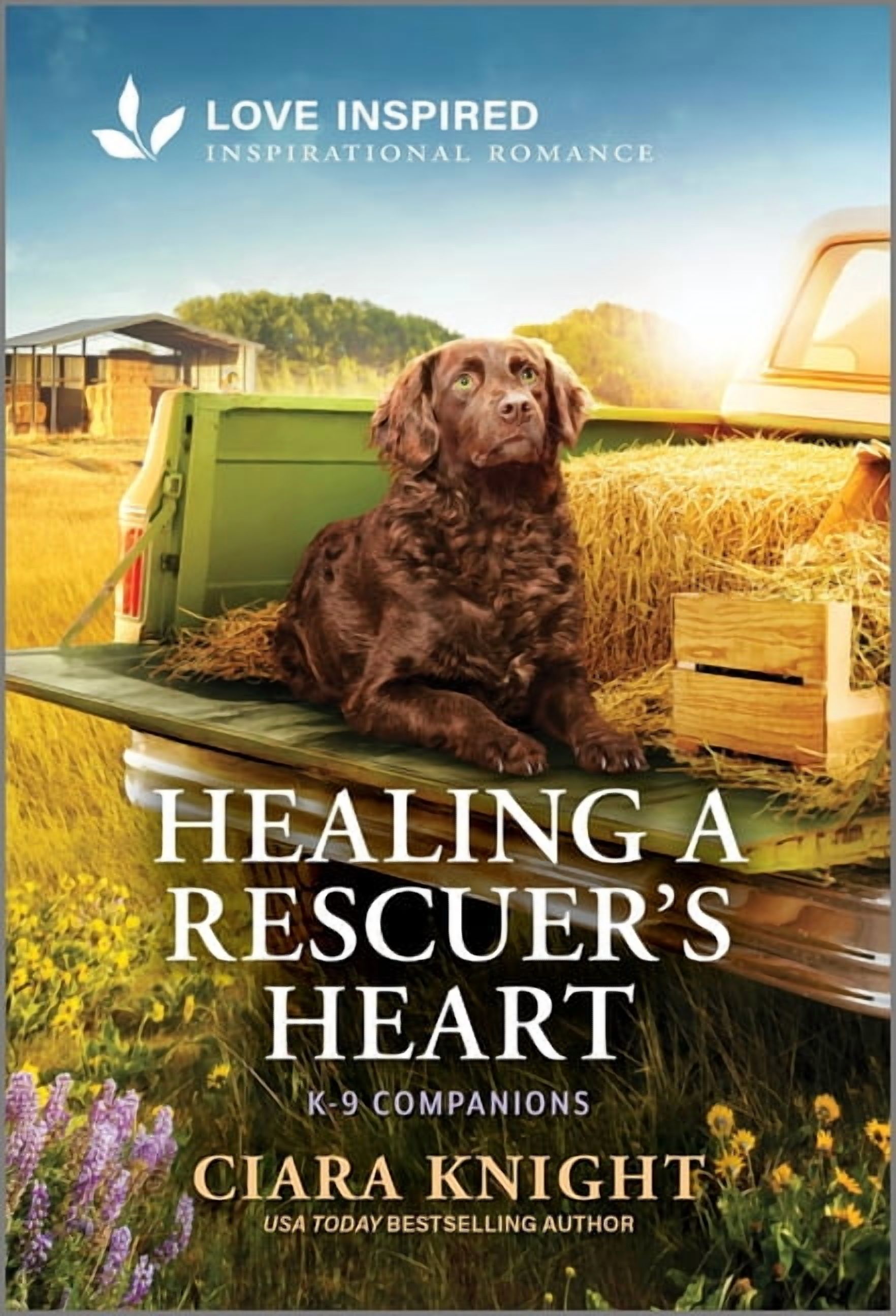 K-9 Companions Healing a Rescuer's Heart: An Uplifting Inspirational Romance, Book 43, (Paperback)