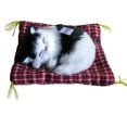 thumbnail image 1 of TIELUTT Activated Odor Eliminating Air Purifying Cat Doll Toy, 1 of 1