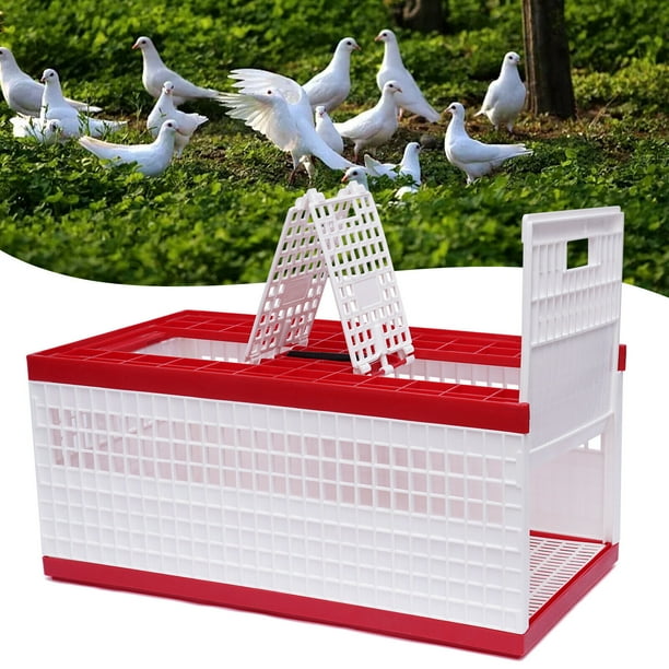Miumaeov Bird Pigeon Plastic Cage with 2 Top Doors 2 Side Doors Durable