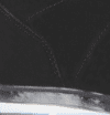 Black/Clear