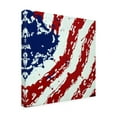 thumbnail image 2 of Trademark Fine Art 'American Flag Splash' Canvas Art by Roderick Stevens, 2 of 3