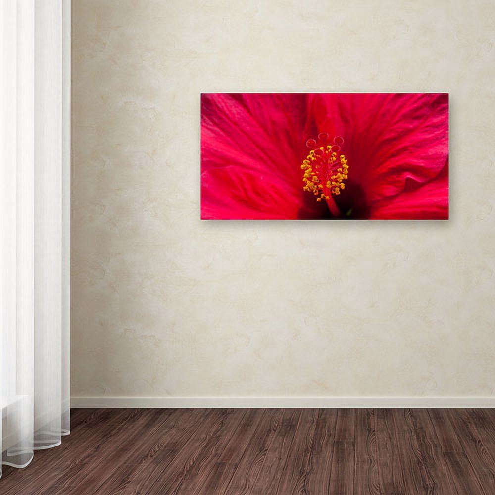 Trademark Fine Art "Red Red Hibiscus" Canvas Art by Kurt Shaffer