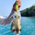 thumbnail image 3 of Cebo Luminoso para Jigging Con Cuentas Integradas Que Brillan en Herramientas Pesca Nocturna (estilo A), 3 of 6