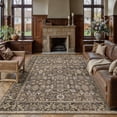 thumbnail image 3 of BERTHMEER 6'x9' Vintage Area Rugs for Living Room Brown Rugs for Bedroom Kitchen Non Slip Washable Carpets Office Farmhouse Dorm Dining Room Oriental Traditional Distressed Rugs, 3 of 8