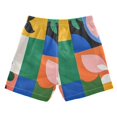 thumbnail image 7 of FORMRS Boys Swim Trunks Quick Dry Mesh Liner Boardshorts Sizes XS-XL, Abstract Plants, 7 of 7