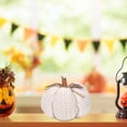 thumbnail image 2 of Mini Knitted Pumpkin,Knit Pumpkins for Fall Mantel Decor,Handmade Cute Fall Decor,Autumn Table Centerpiece,Crochet Pumpkin Decoration for Thanksgiving,Halloween Farmhouse & Home Decor(White), 2 of 6