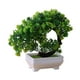 thumbnail image 2 of Plantas artificiales en maceta Adorno verde Planta artificial en maceta para decoración Estilo loto, 2 of 9