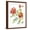 Brown Frame, variant on Art.com Cranesbills I Art Print by Chariklia Zarris, 12" x 16"