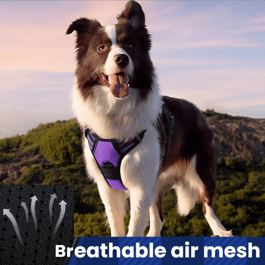 Dog Harness and Leash Set, No Pull Vest Harness, Reflective Adjustable Soft Padded Pet Harness with Handle for Small to Large Dogs