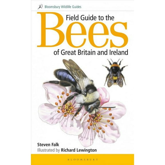 Bloomsbury Wildlife Guides: Field Guide to the Bees of Great Britain and Ireland (Paperback)