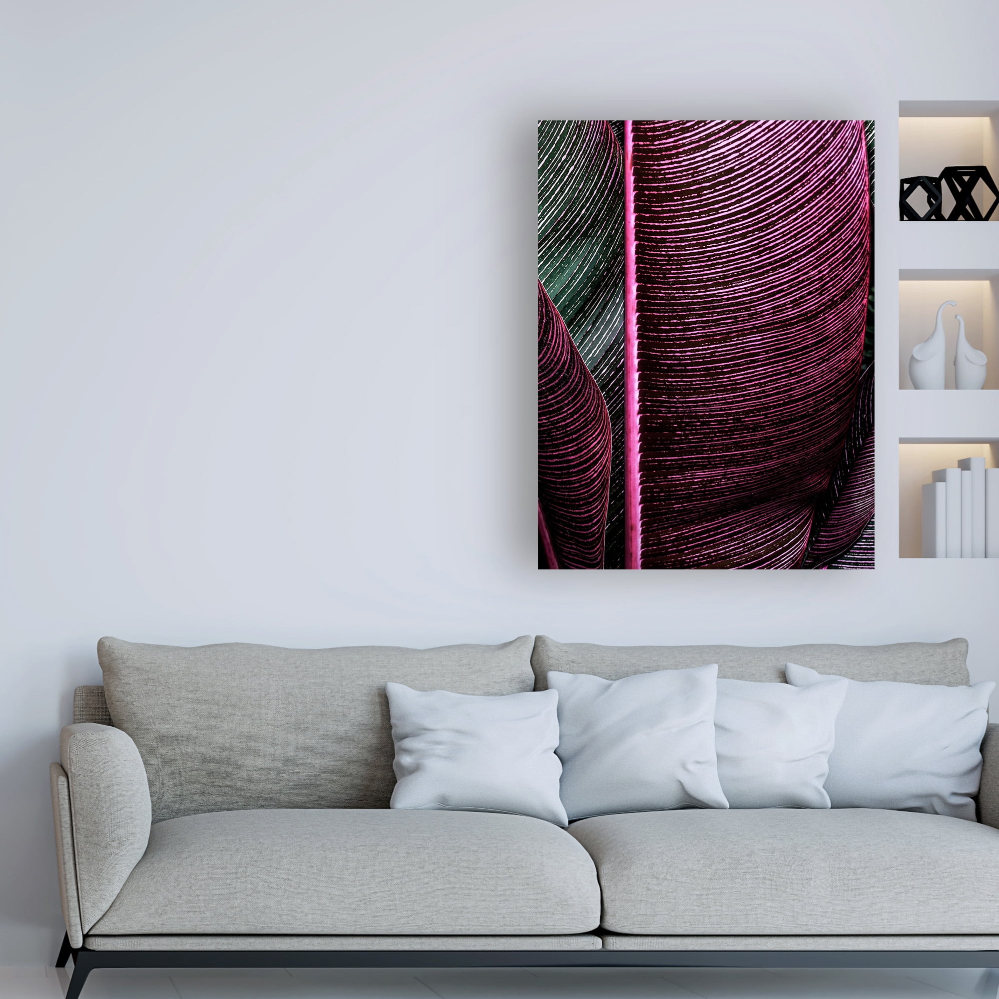Trademark Fine Art 'Close up VIII' Canvas Art by Incado