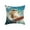 C, variant on FEOLGEHLY Animal Series Decorative Throw Pillow Covers 18x18 in, Cute & Playful AnimalPrint Patterns Soft Cushion Covers for Couch Recliner Bed Living Room Home Decor, Machine Washable (B)