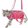 thumbnail image 4 of Small Pet Carrier Portable Shoulder Travel Tote Breathable Lightweight No‑Pull Vest Carrier for Small Dogs Cats Outdoor Walking Hot Pink L, 4 of 5
