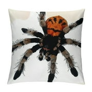 Tarantula Plush, Stuffed Animal, Plush Toy, Gifts for Kids, Cuddlekins Inches, Black, Orange, Brown