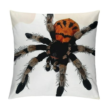 Tarantula Plush, Stuffed Animal, Plush Toy, Gifts for Kids, Cuddlekins Inches, Black, Orange, Brown