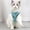 Green, variant on Feiona Cat Harness Leash for Walking, Escape Proof Soft Mesh Adjustable Vest Harnesses for Cats Kitten Dog, Easy Control Breathable Strips Vest