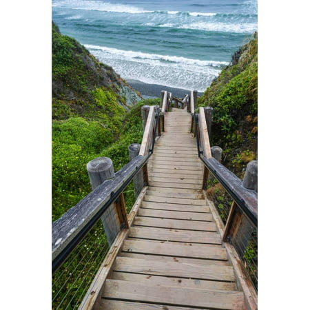 The Trail to Sand Dollar Beach, Los Padres National Forest, Big Sur, California, Usa Print Wall Art By Russ