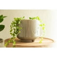 thumbnail image 5 of Flora Bunda 6 inch & 4.75 inch Rainbow Footed Planter, Set of 2, Glass Oliver, 5 of 6