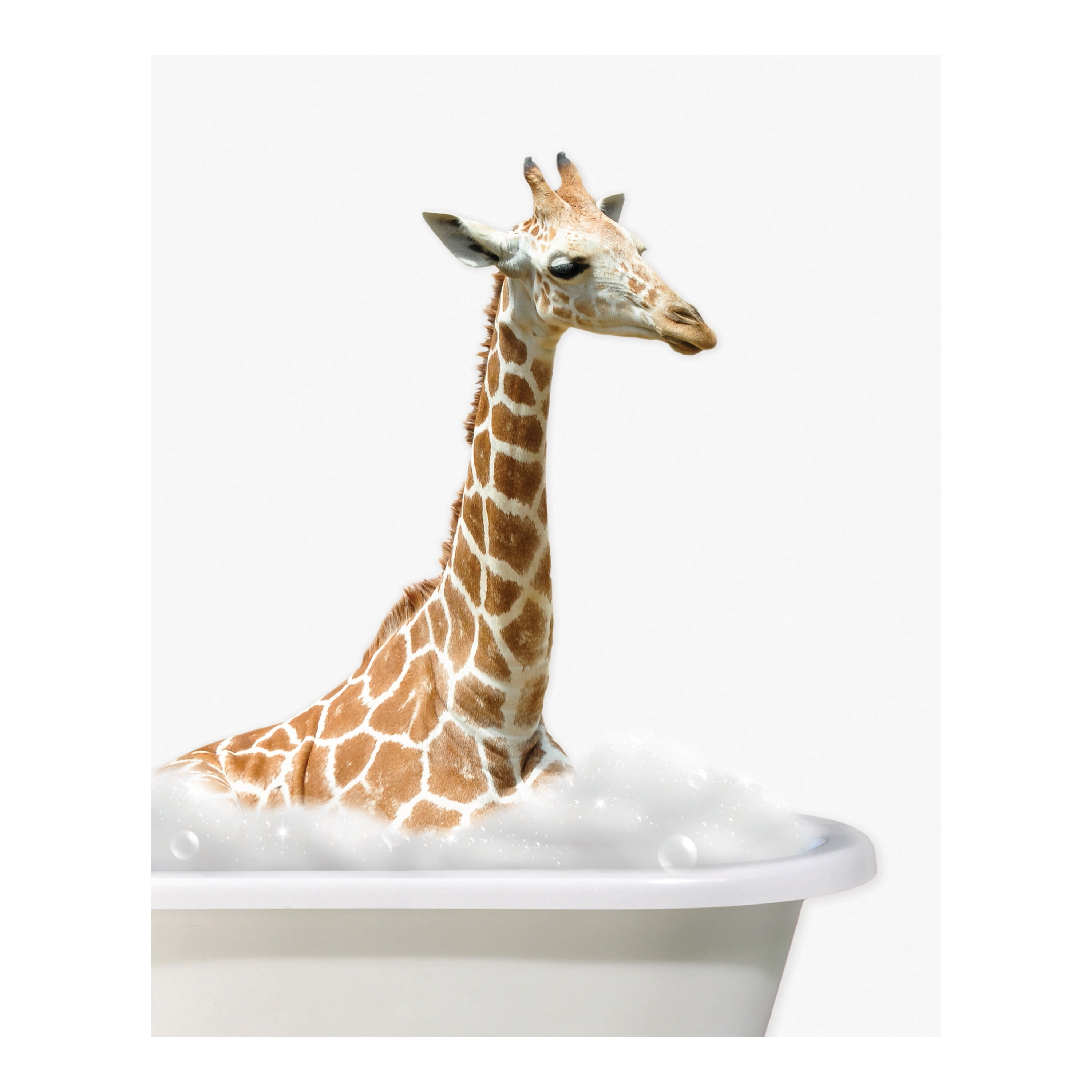 (2 pack) DesignOvation Baby Animal in Tub Unframed Art Print 8” x 10” Set of 3 by The Creative Bunch Studio