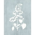 thumbnail image 2 of CAD Designs 20x24 White Modern Wood Framed Museum Art Print Titled - Botany Beauty IV, 2 of 4