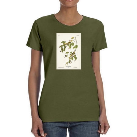 Carbonated Warbler T-Shirt Women -John James Audubon Designs Female Small