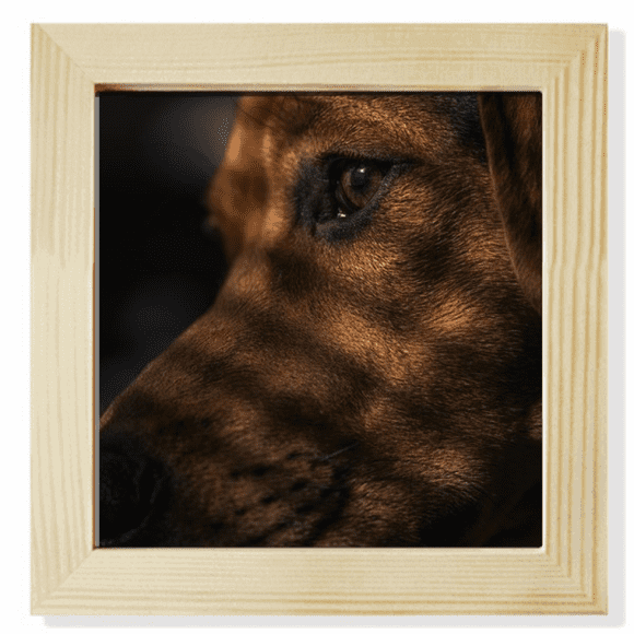 Dog Pet Animal Sentimental Picture Square Picture Frame Wall Tabletop Display