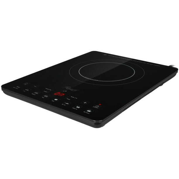 Portable Induction Cooktop Countertop Burner, 1500W Electric Induction  Cooker with 15 Temperature Settings, 15 Power Levels, 8 Preset Model