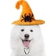 thumbnail image 1 of Disfraces de sombrero de bruja y murciélago calabaza para gatos y perros, ¡diversión para fiestas de Halloween! Delicias espeluznantes para mascotas, 1 of 5
