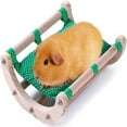 thumbnail image 1 of SUTENGDA Wood Removable Hamster Bed Rocking Wood Detachable Washable Small Animal Bed Guinea Pig Bed Cage Bed and Guinea Pig Summer Nest (Color   Green), 1 of 4