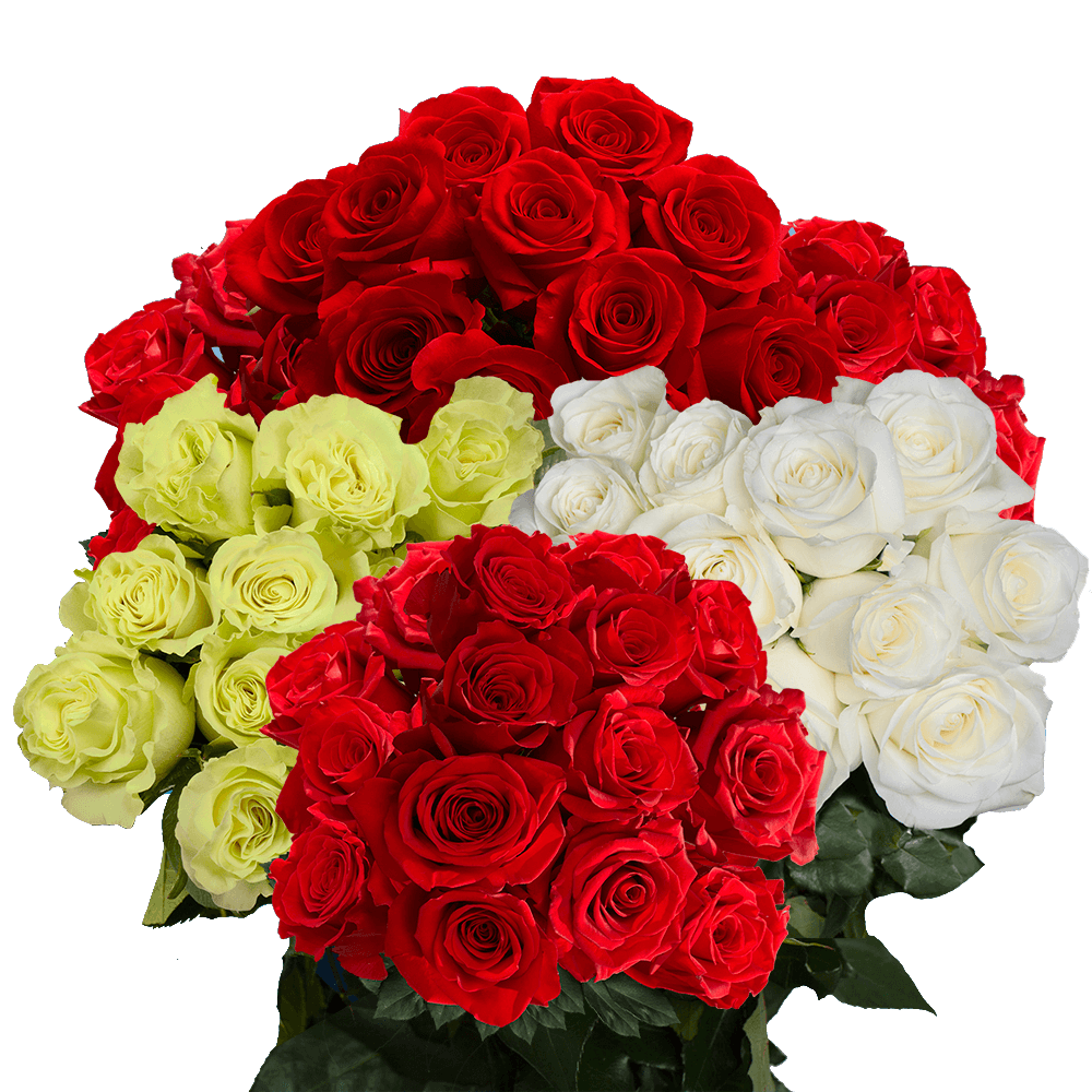 50 Red Roses and 50 Color Roses 100 Half Red / Half Color Roses