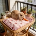 thumbnail image 5 of Summer Cooling Pet Mat 20x16 in, Breathable Ice Silk Dog Cat Pad for Crate Sofa Floor, Portable Washable Pet Bed Cushion for Hot Weather Indoor Outdoor Use, 5 of 6