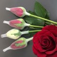 thumbnail image 4 of 2 rollos 18M de largo DIY Rose Bobbin Cubierta protectora Plástico Rose Red protectora Cubierta de red de nylon ecológica Transporte Cubierta de envoltura anticolisión para envoltura Uso blanco, 4 of 5