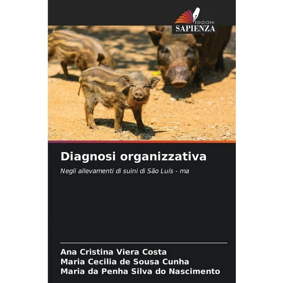 Diagnosi organizzativa, (Paperback)