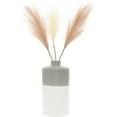 thumbnail image 5 of Heart - 7" Vase with Pampas Grass, 5 of 9