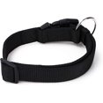thumbnail image 1 of Sencillo Y Práctico Collar Para Perros Apto Para Grandes. Medianos y Sdogs ShuxiuWang 8390612246722, 1 of 1