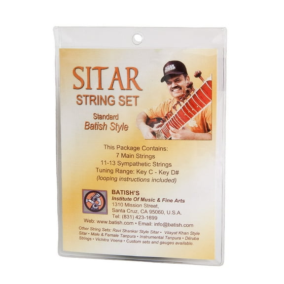 Batish Sitar String Set Pro Standard