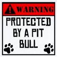thumbnail image 2 of CafePress - Protected By A Pit Bull Body Suit - Long Sleeve Cotton Baby Bodysuit, 2 of 4
