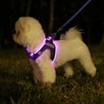 thumbnail image 6 of LED Dog Harness Rechargeable, Lighted Dog Vest Harness for Night Walking,Reflective Safety Vest for Small Dogs,Adjustable Soft Mesh, 6 of 8